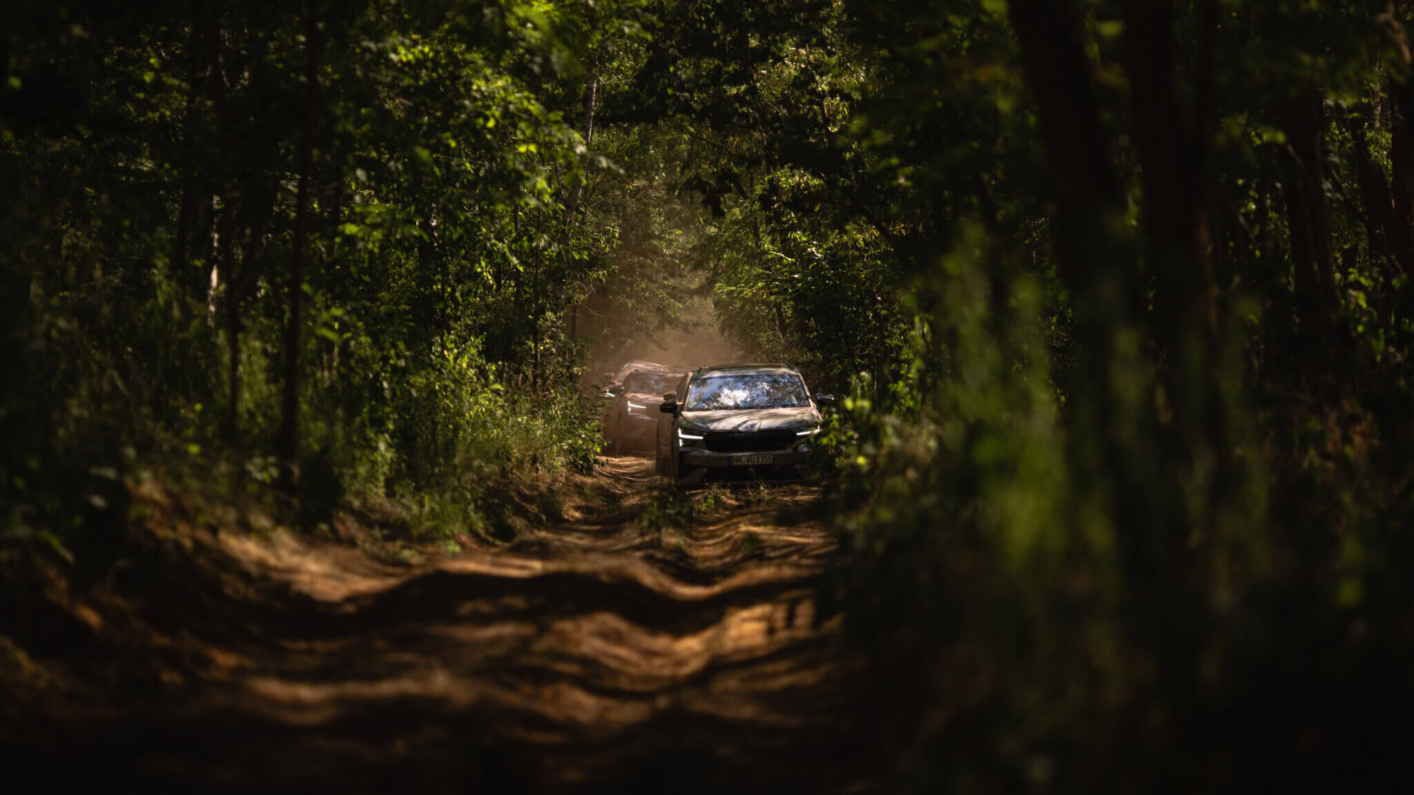 Geländewagen auf schmaler Wald-Offroad-Strecke bei einer Trainingsfahrt im Rahmen des Dachzelt- und Allradcamps am DEKRA Lausitzring